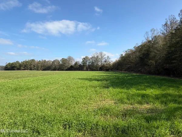 $449,500 | 4110 Attala Street, Sallis, MS 39160