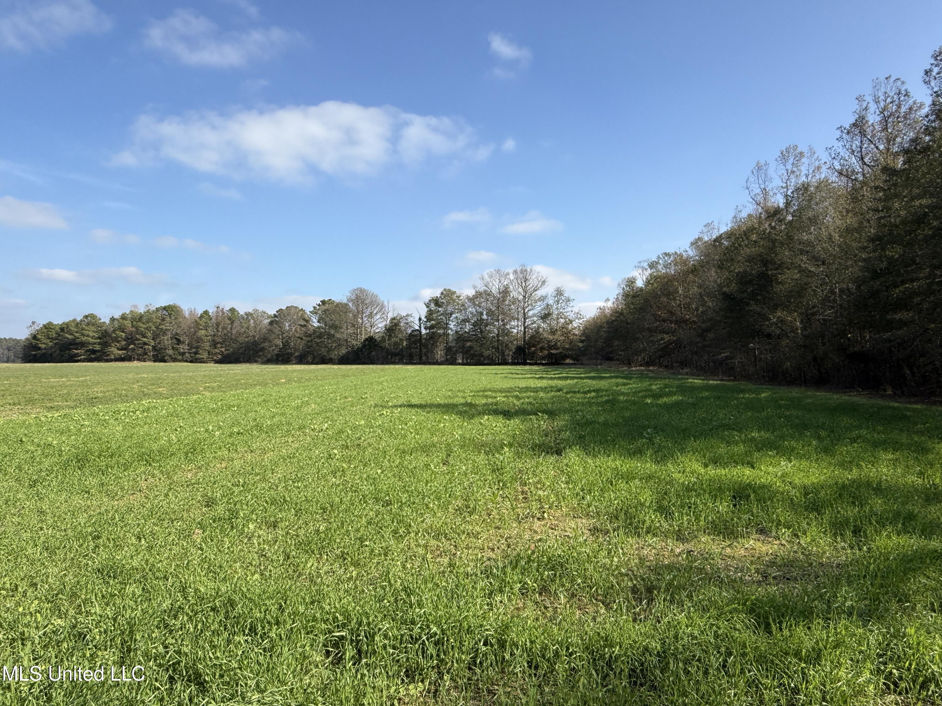 4110 Attala Street Sallis, MS 39160 - Photo 12 of 23 14