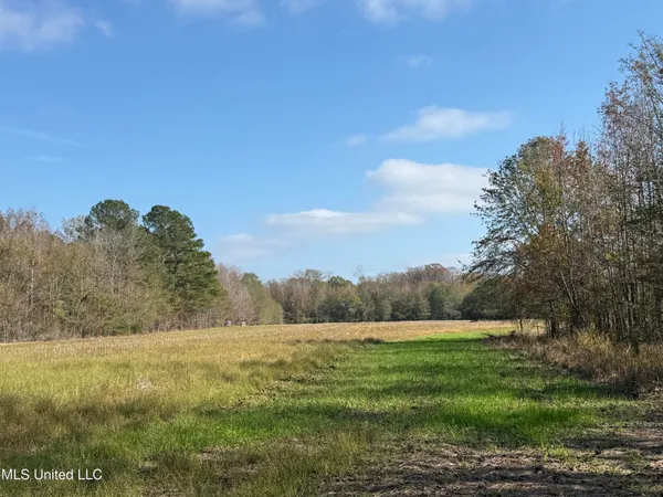 $449,500 | 4110 Attala Street, Sallis, MS 39160