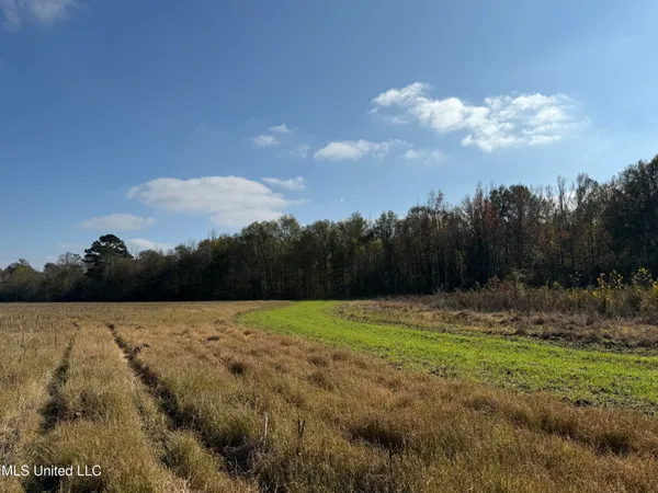 $449,500 | 4110 Attala Street, Sallis, MS 39160