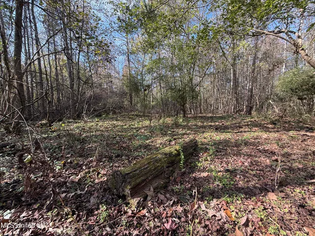 $485,000 | 4110 Attala Street, Sallis, MS 39160