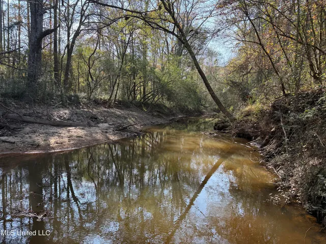 $485,000 | 4110 Attala Street, Sallis, MS 39160