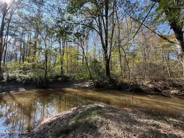 $449,500 | 4110 Attala Street, Sallis, MS 39160