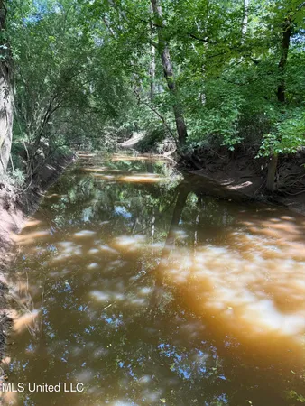 $449,500 | 4110 Attala Street, Sallis, MS 39160