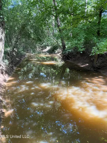 $485,000 | 4110 Attala Street, Sallis, MS 39160