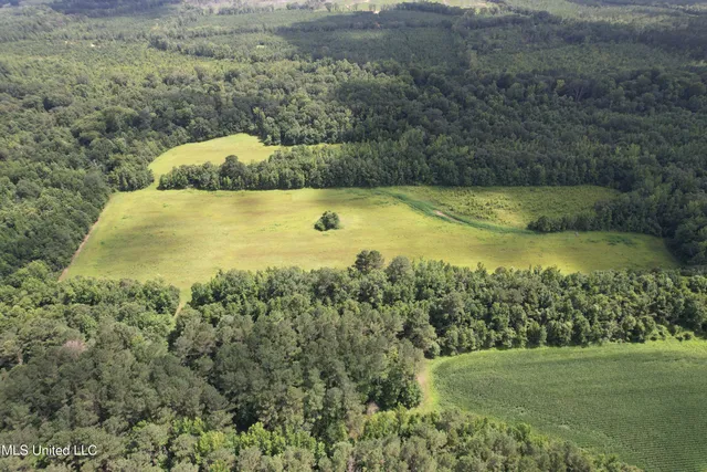 $485,000 | 4110 Attala Street, Sallis, MS 39160