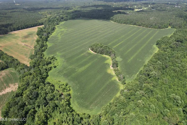 $449,500 | 4110 Attala Street, Sallis, MS 39160