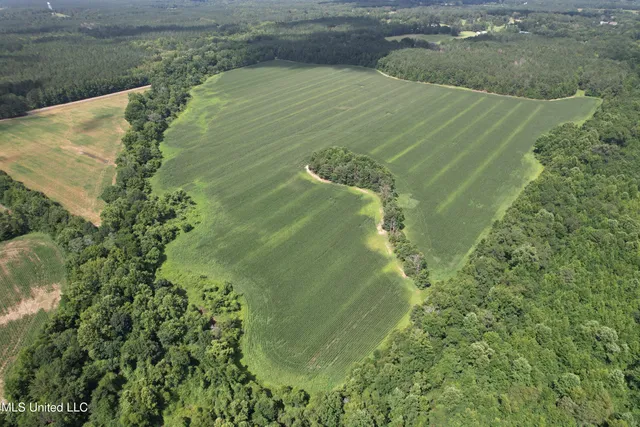 $485,000 | 4110 Attala Street, Sallis, MS 39160