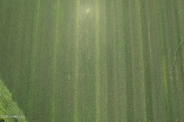 $449,500 | 4110 Attala Street, Sallis, MS 39160