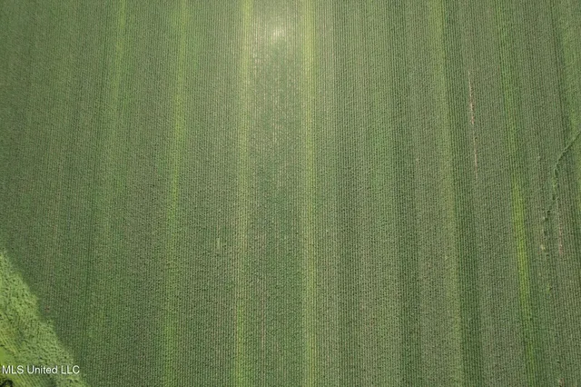 $485,000 | 4110 Attala Street, Sallis, MS 39160