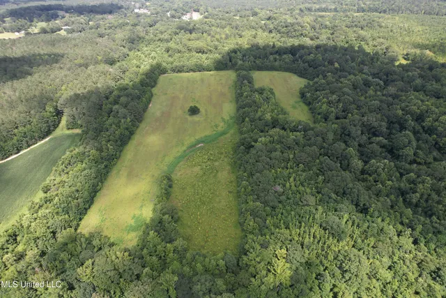 $485,000 | 4110 Attala Street, Sallis, MS 39160