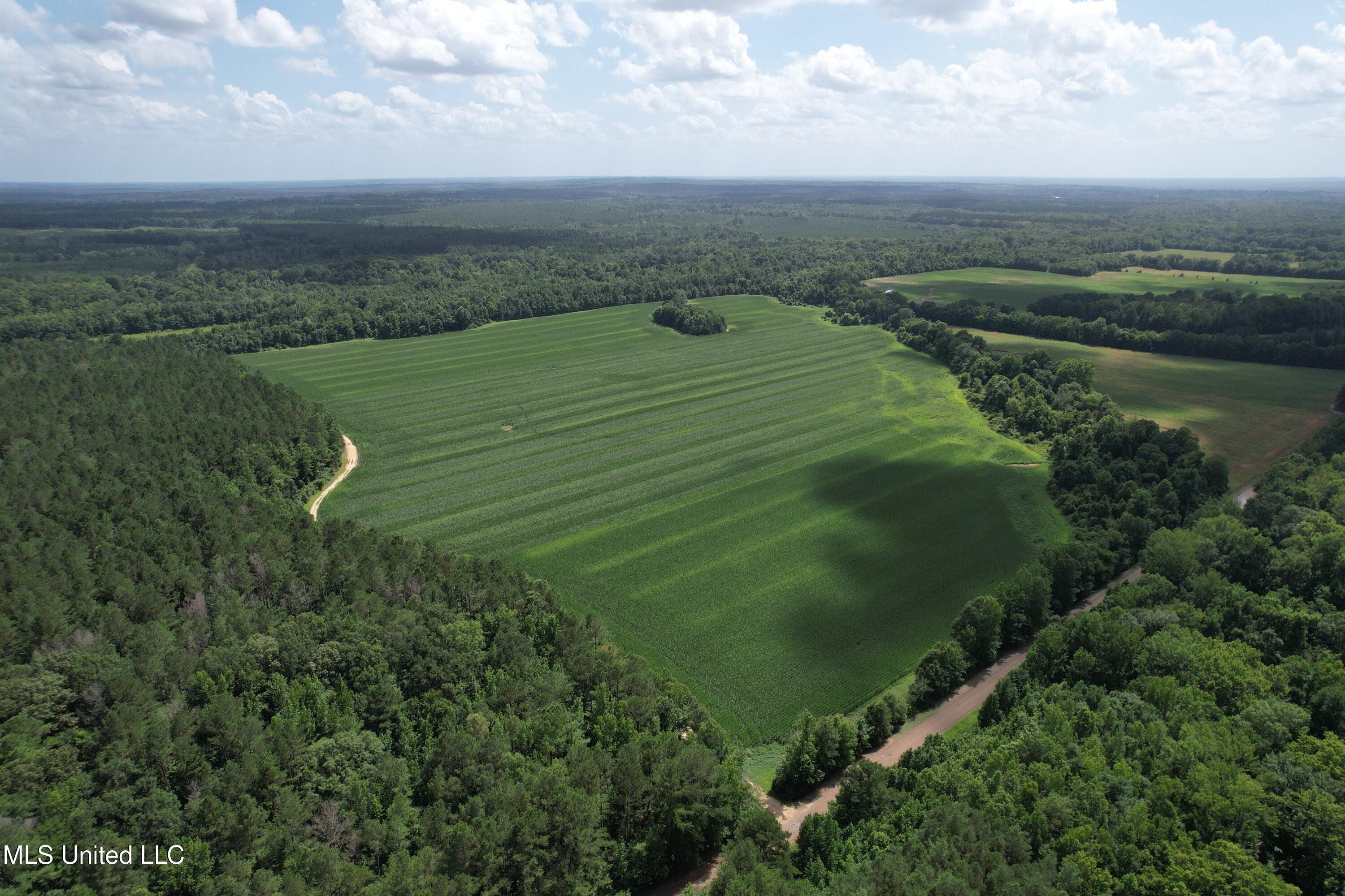 4110 Attala Street Sallis, MS 39160 - Photo 6 of 23 3