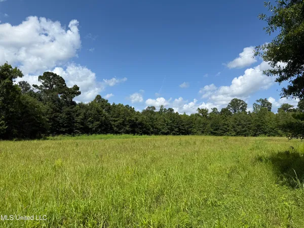 $449,500 | 4110 Attala Street, Sallis, MS 39160