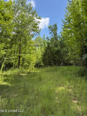 $449,500 | 4110 Attala Street, Sallis, MS 39160