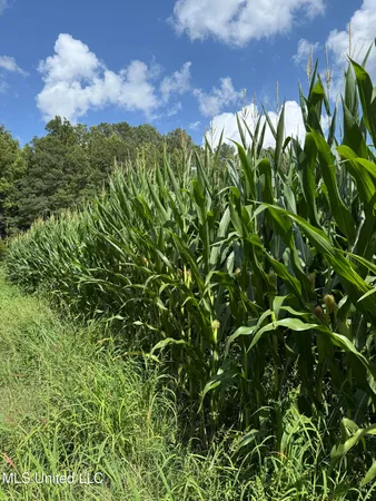 $449,500 | 4110 Attala Street, Sallis, MS 39160