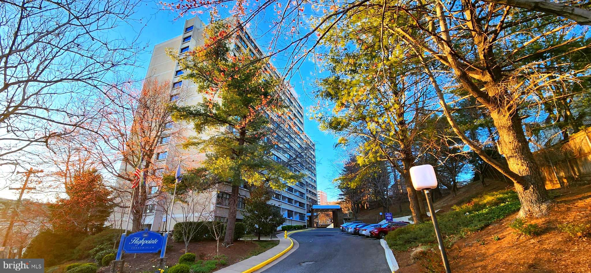 5911 Edsall Road, Unit 207 Alexandria, VA 22304 - Photo 2 of 22 a street view with large tree