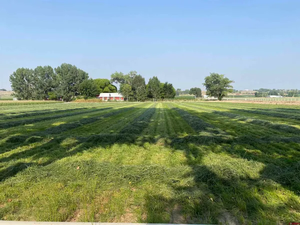 a view of a green field with clear sky