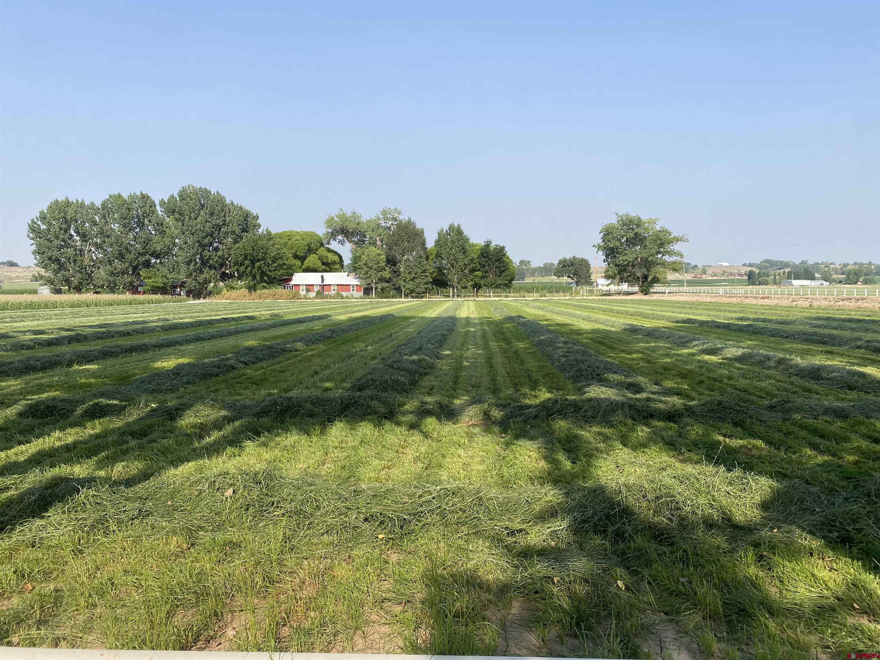 Lot 2 Ida Road Montrose, CO 81403 - Photo 1 of 8 a view of a green field with clear sky