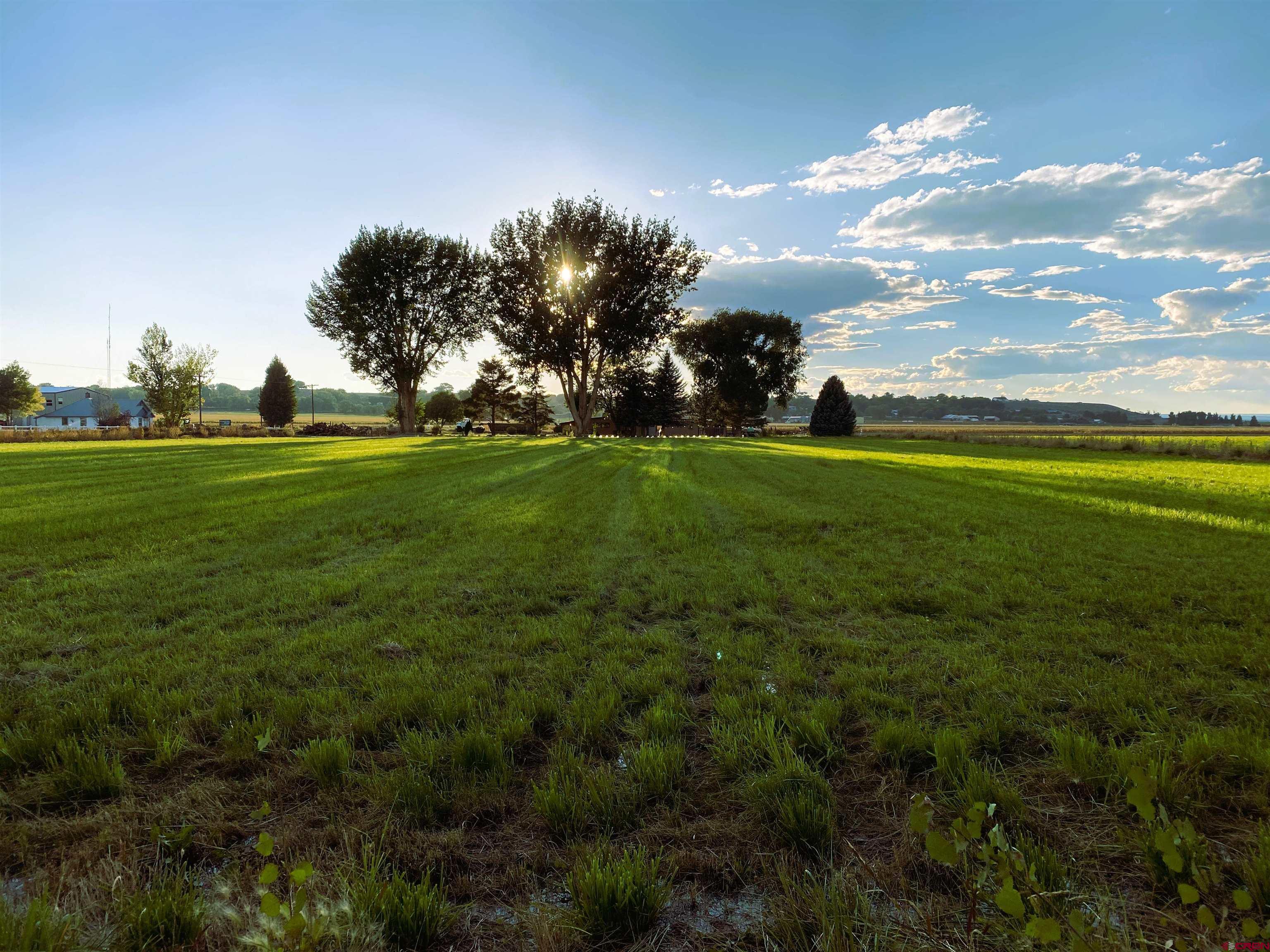 Lot 2 Ida Road Montrose, CO 81403 - Photo 6 of 8 a view of a golf course with a lake