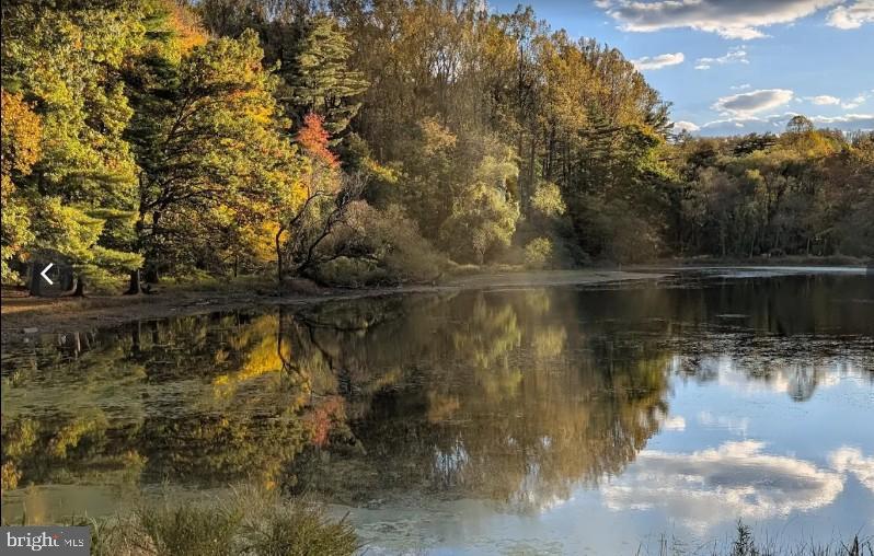 12605 Bluhill Road Silver Spring, MD 20906 - Photo 13 of 17 Wheaton Regional Park lake.