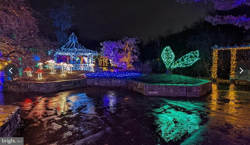 12605 Bluhill Road Silver Spring, MD 20906 - Photo 17 of 17 Wheaton Reg. Park with holiday lights.