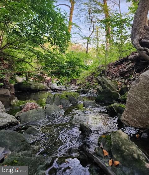 12605 Bluhill Road Silver Spring, MD 20906 - Photo 2 of 17 Glenmont Park serene stream with lush greenery.