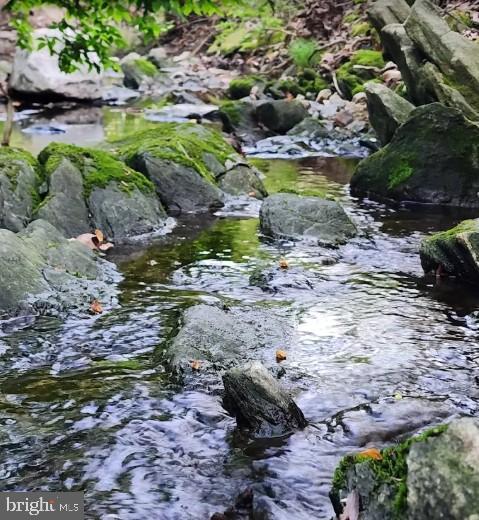 12605 Bluhill Road Silver Spring, MD 20906 - Photo 3 of 17 Glenmont Park stream flowing over mossy stones.