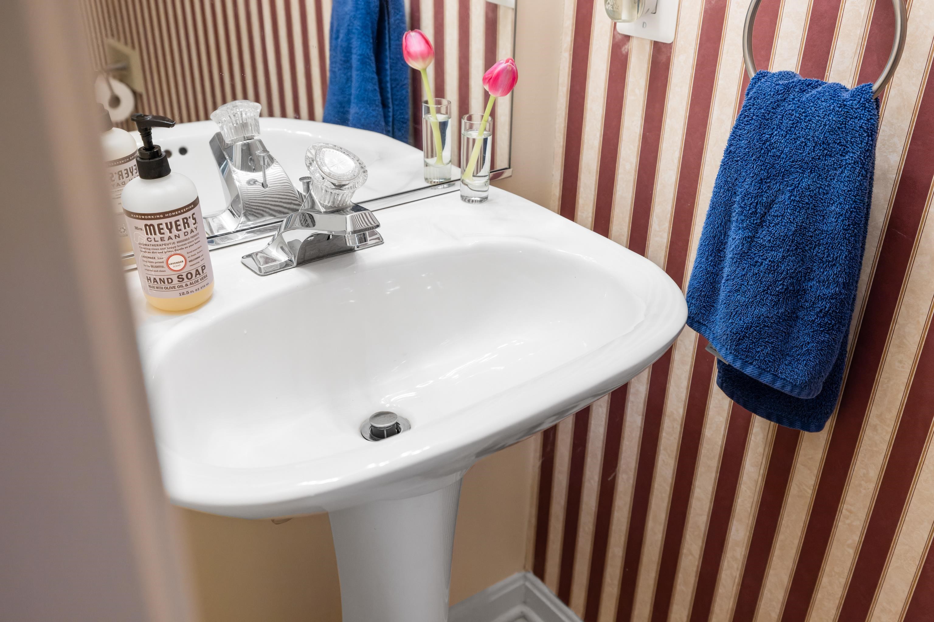 560 Agners Mill Road Lexington, VA 24450 - Photo 43 of 74 First Floor Half Bath