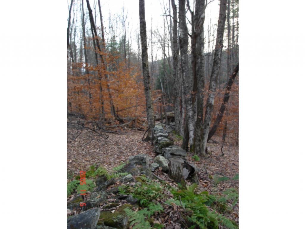 135 Cream Pot Road Hartland, VT 05089 - Photo 4 of 4