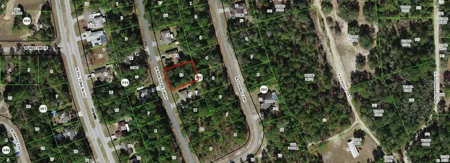 a close up of a plant