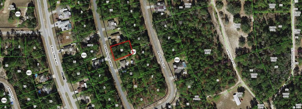 a close up of a plant