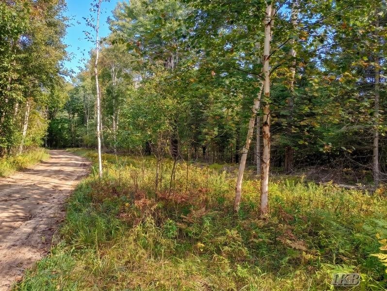 35.11-acres North Hockaday Road Gladwin, MI 48624 - Photo 83 of 83 Gallery Image 83