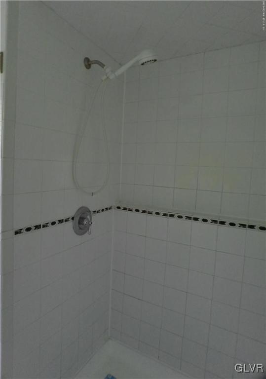 155 Landis Store Road Boyertown, PA 19512 - Photo 21 of 49 UPPER LEVEL SHOWER