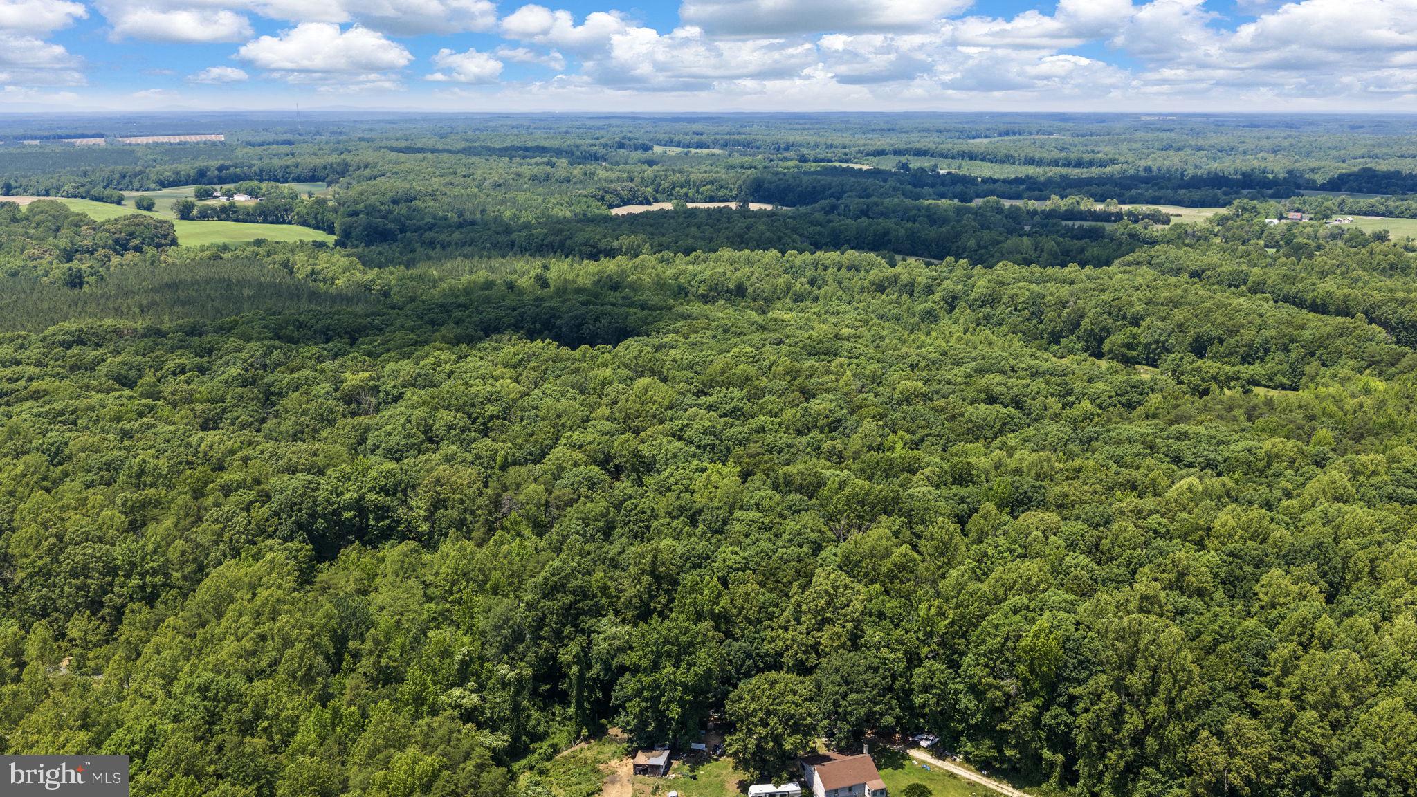 1271 Apple Grove Road Mineral, VA 23117 - Photo 81 of 91