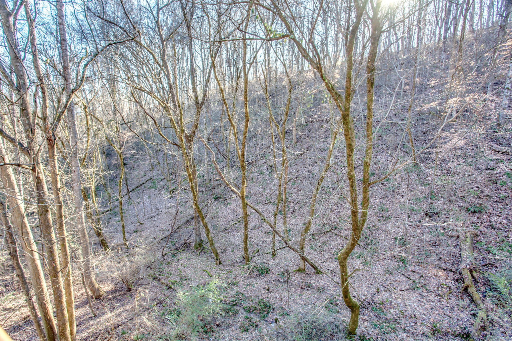 2036 Ridge Road, Unit SUITE 6 Pigeon Forge, TN 37863 - Photo 27 of 29 a backyard of a house with lots of trees