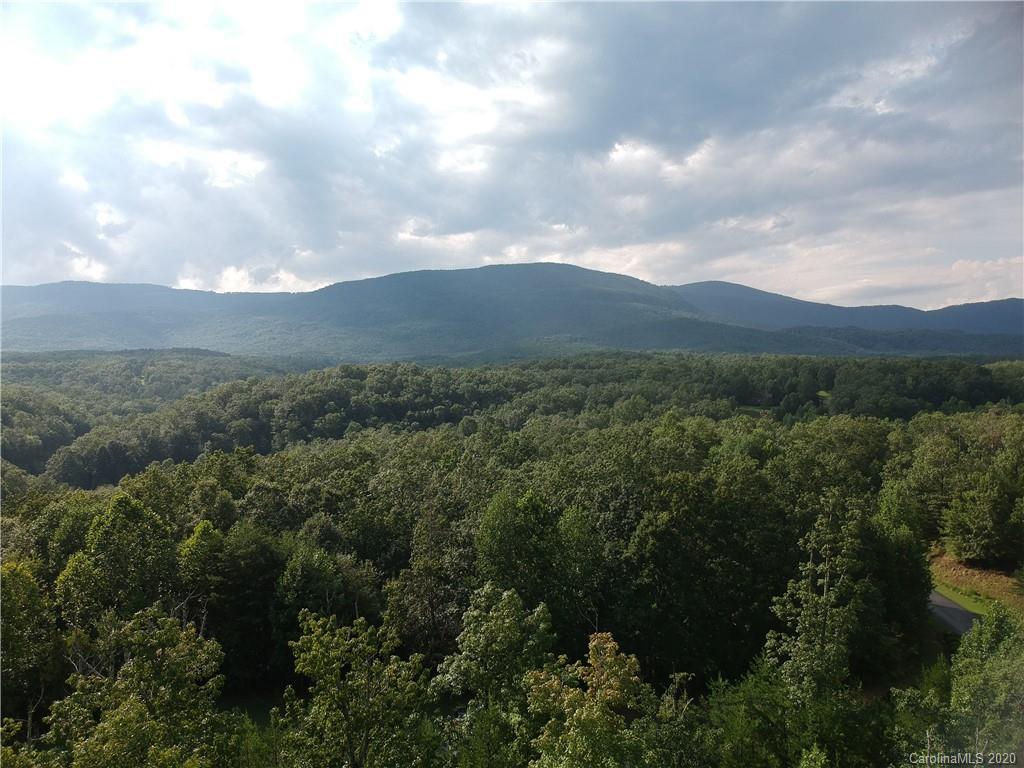 42 Parkway North Rd Mill Spring, Unit 42 Mill Spring, NC 28756 - Photo 2 of 7