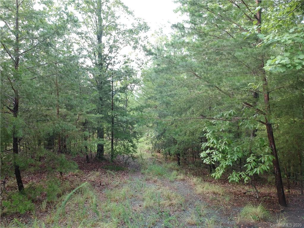 42 Parkway North Rd Mill Spring, Unit 42 Mill Spring, NC 28756 - Photo 6 of 7