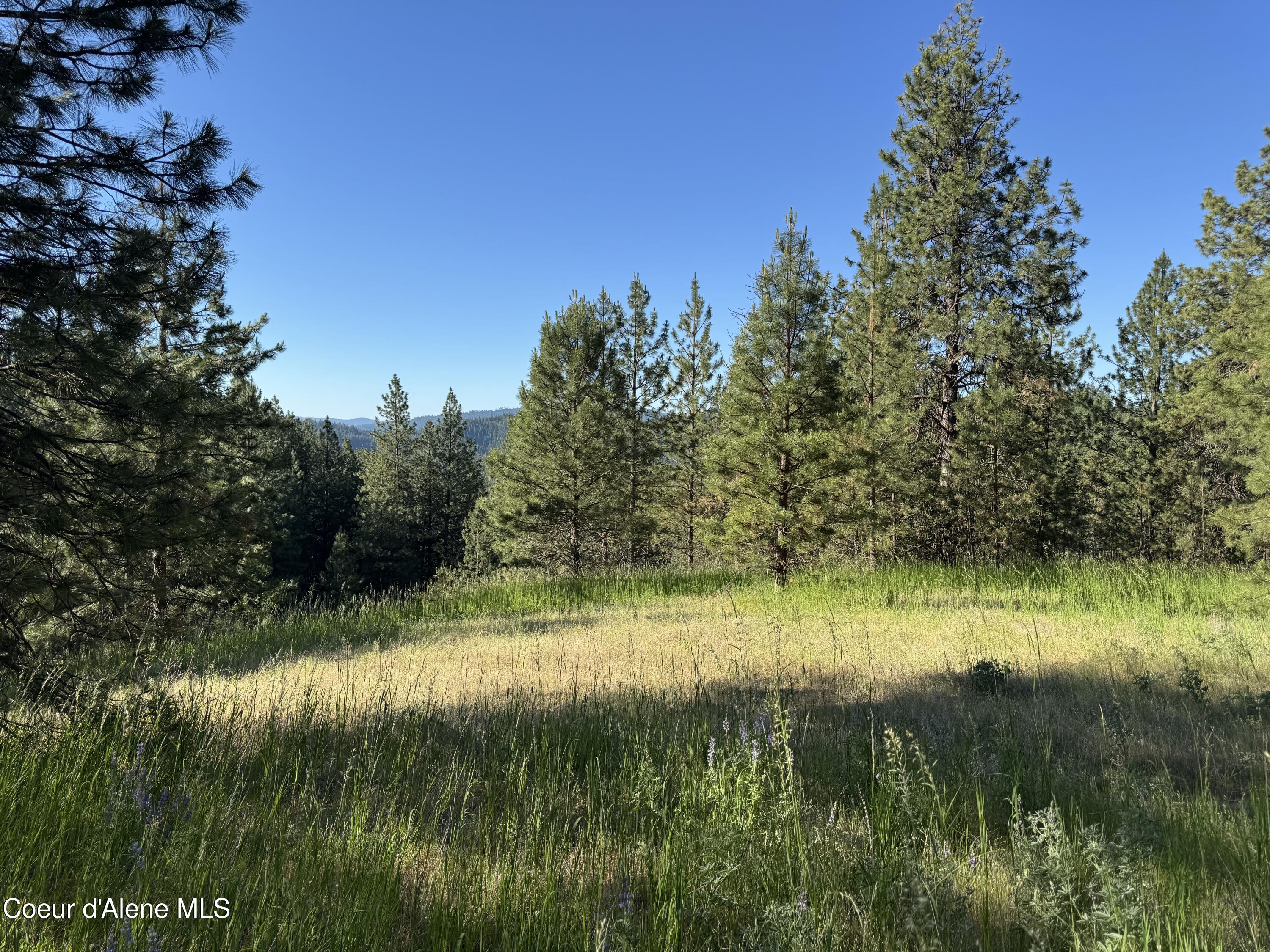 2 Baby Cougar Lane Coeur D'Alene, ID 83814 - Photo 11 of 18 IMG_2149