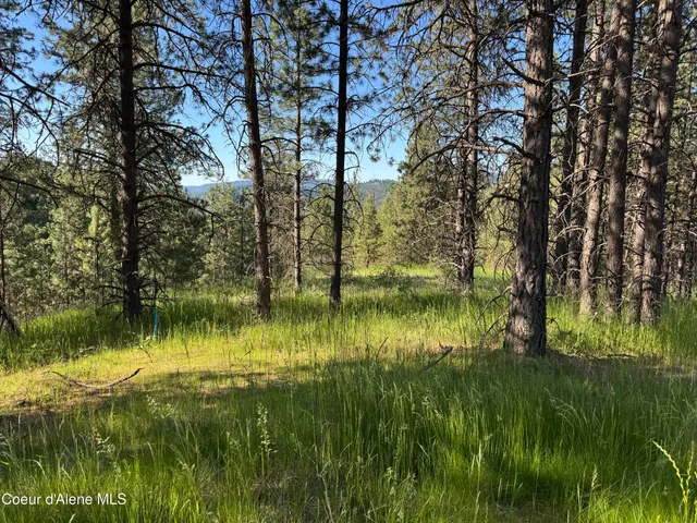 $489,000 | 2 Baby Cougar Lane, Coeur D'Alene, ID 83814