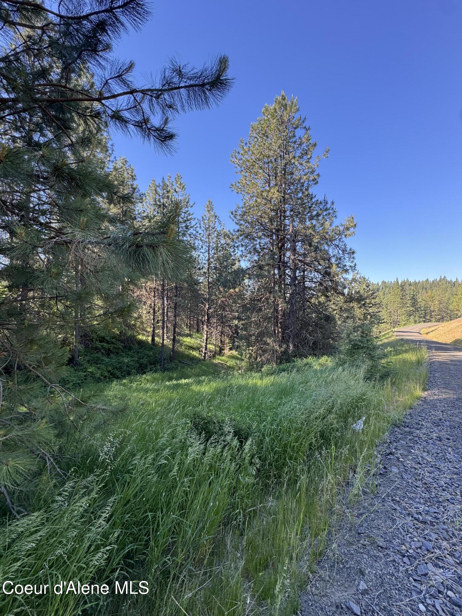2 Baby Cougar Lane Coeur D'Alene, ID 83814 - Photo 15 of 18 IMG_2185