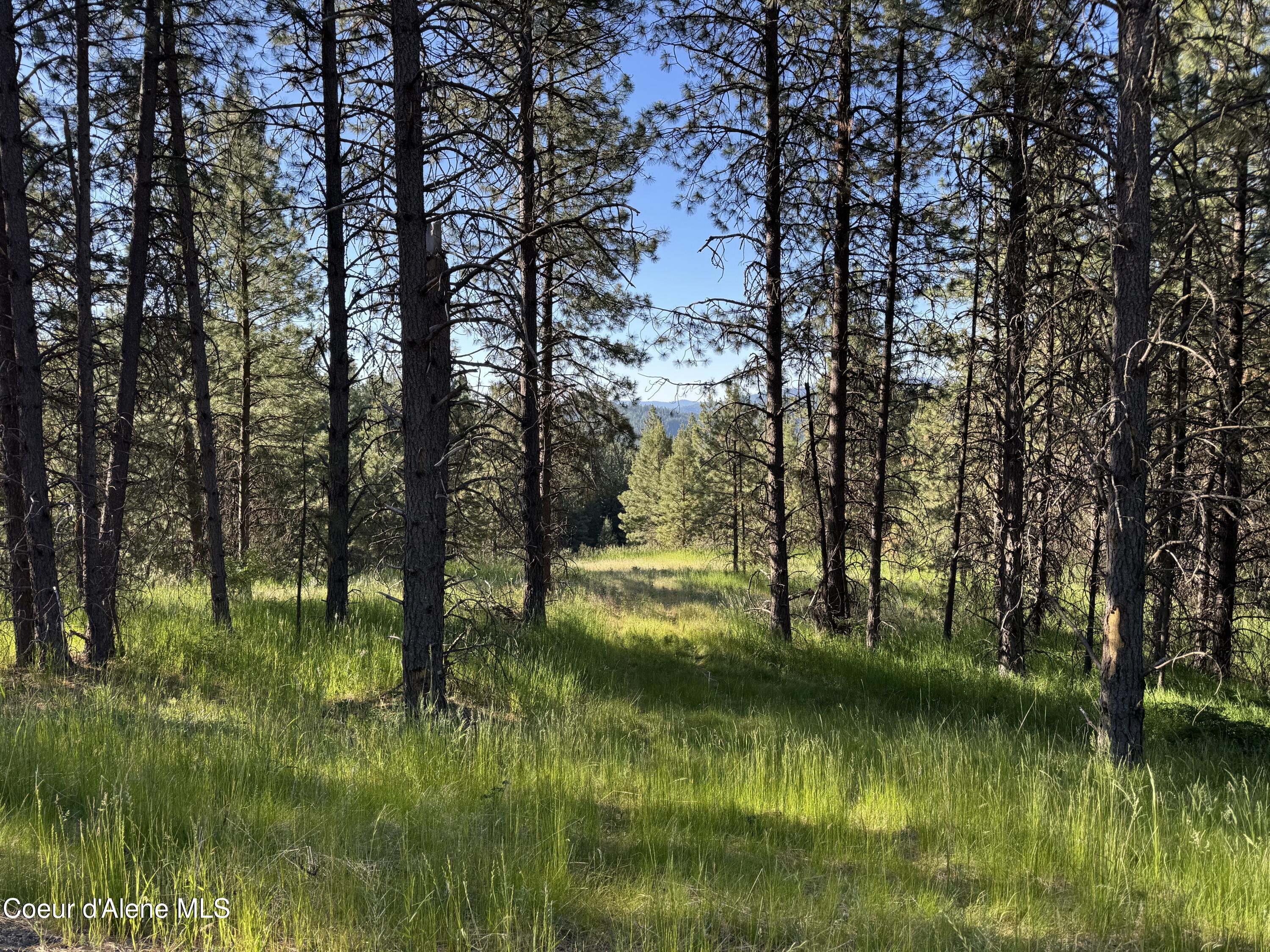 2 Baby Cougar Lane Coeur D'Alene, ID 83814 - Photo 2 of 18 IMG_2139