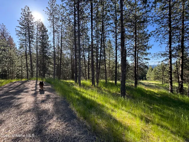 $489,000 | 2 Baby Cougar Lane, Coeur D'Alene, ID 83814