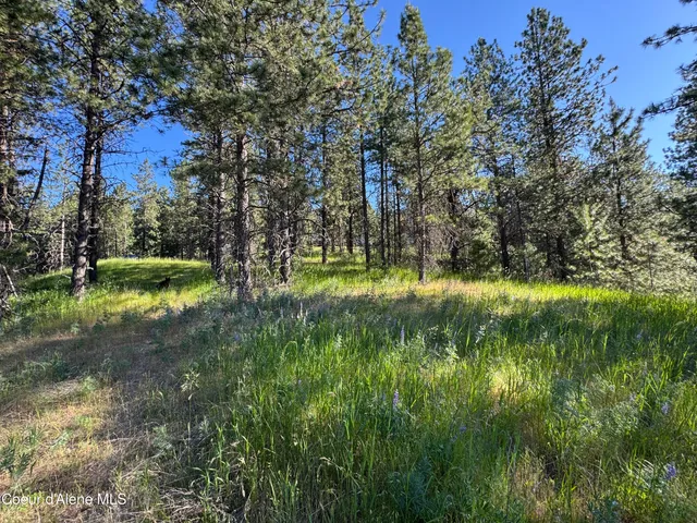 $489,000 | 2 Baby Cougar Lane, Coeur D'Alene, ID 83814