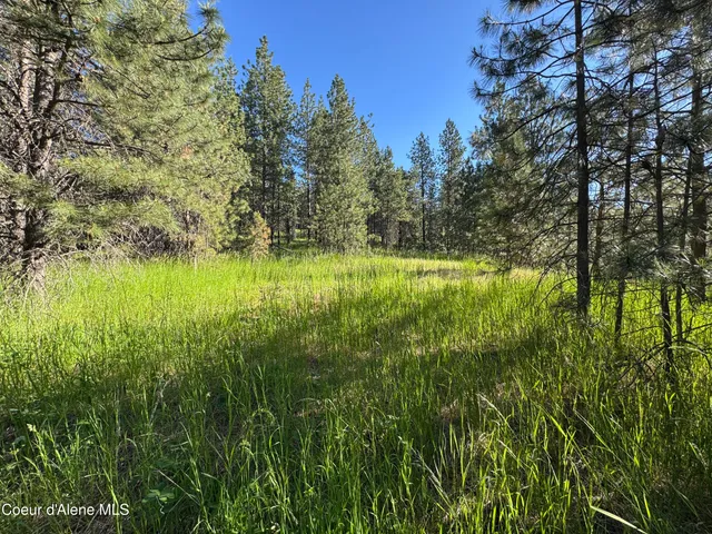 $489,000 | 2 Baby Cougar Lane, Coeur D'Alene, ID 83814