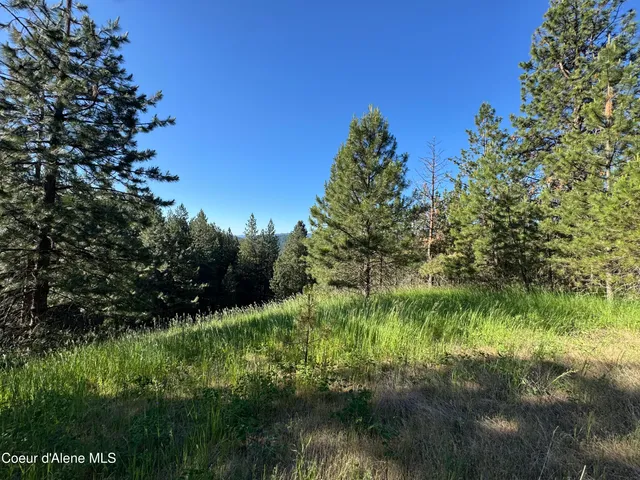 $489,000 | 2 Baby Cougar Lane, Coeur D'Alene, ID 83814