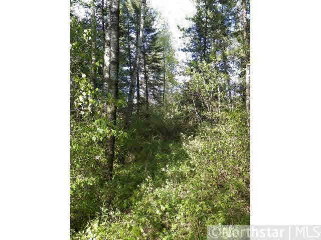 Tbd Guyles Road Ponsford, MN 56575 - Photo 6 of 9 Gallery Image 6