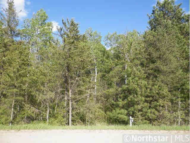 Tbd Guyles Road Ponsford, MN 56575 - Photo 8 of 9 Gallery Image 8