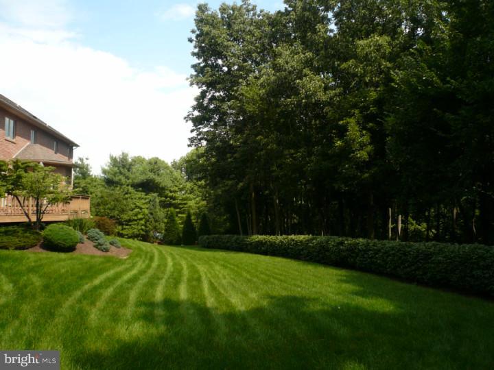 7 Rick Road Reading, PA 19607 - Photo 7 of 25 Back Yard