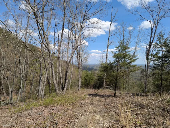 $80,000 | 10 Escape Drive, Evensville, TN 37332
