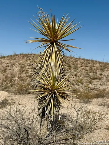 $302,720 | Tbd Indian Hot Springs Road, Fort Hancock, TX 79851